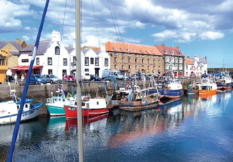 A photo of Maritime at Eyemouth
