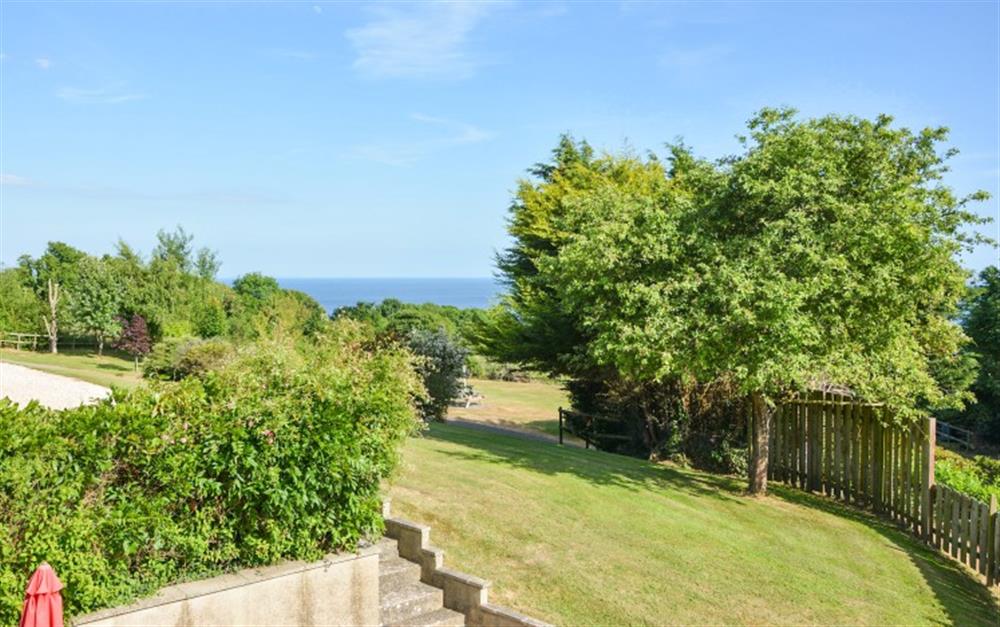 The area around Fairfield Cottage at Fairfield Cottage in Lyme Regis