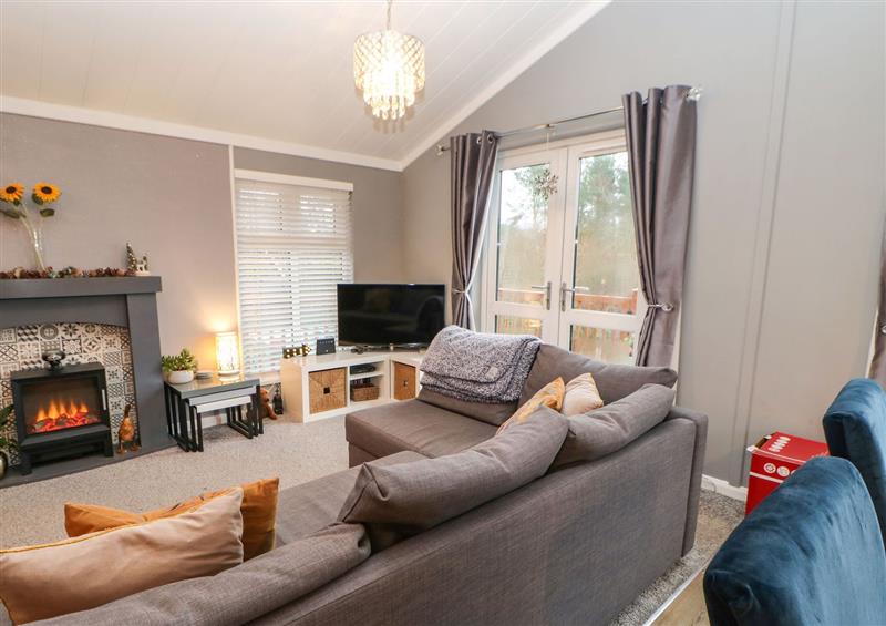 Enjoy the living room at Fairway View Lodge, Swarland near Felton