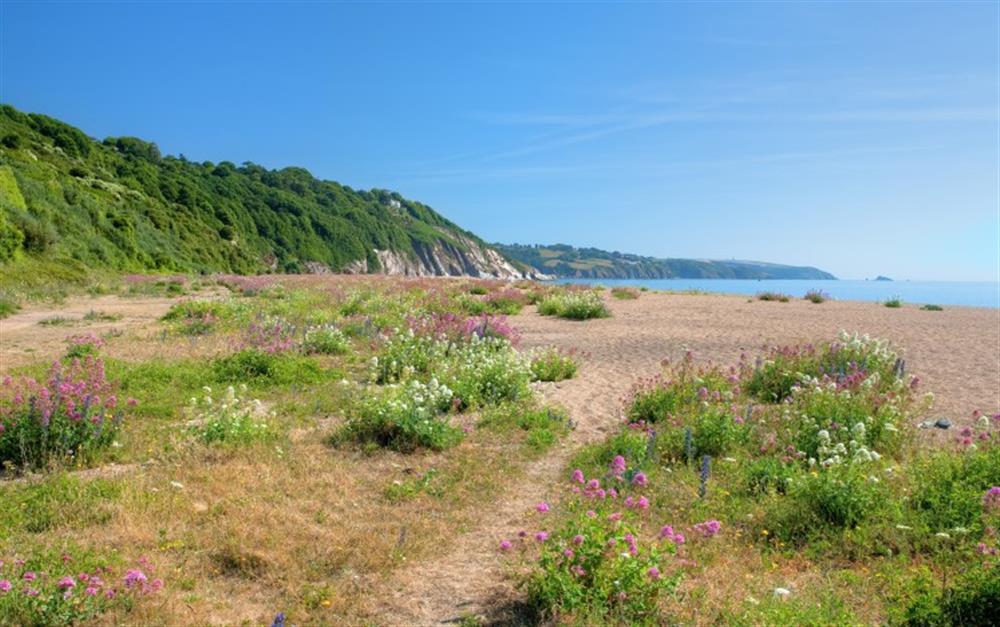 Strete Gate, 1 mile away, and dog friendly!