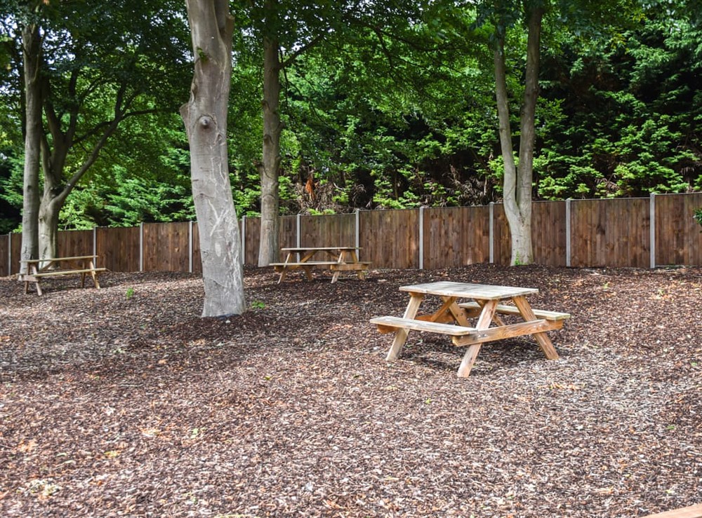 Outdoor (photo 6) at Faith Cottage in Little Dunham, Norfolk