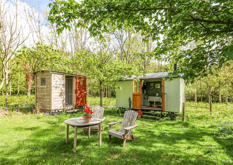 Enjoy the garden at Fallow, Warmwell