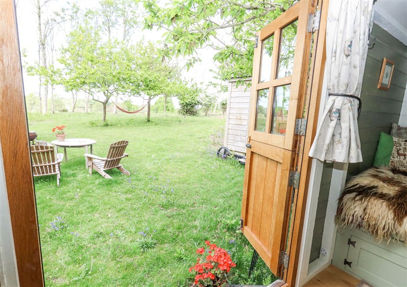 Outside at Fallow, Warmwell
