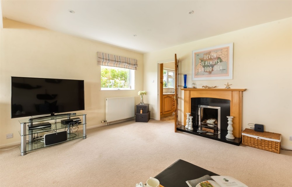 Enjoy the living room (photo 2) at Far Away in Thurlestone