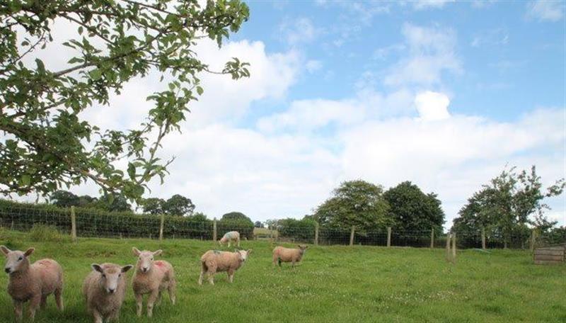 The setting of Farm Cottage