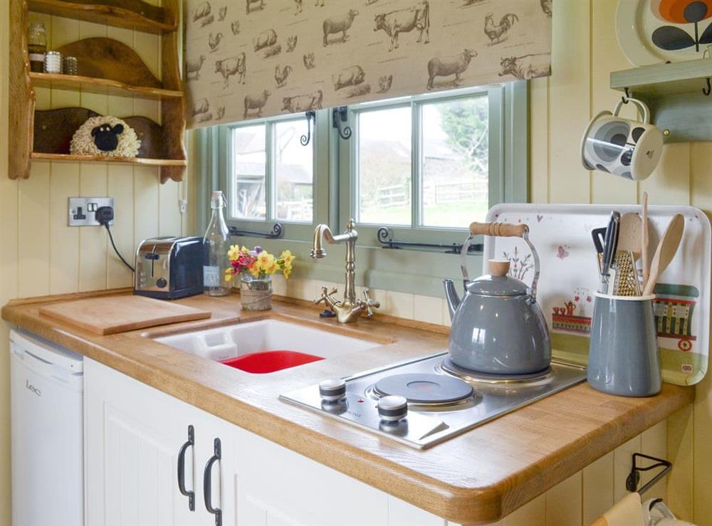 Attractive kitchen area at Farmer Oaks Hut in Dippertown, near Tavistock, Devon