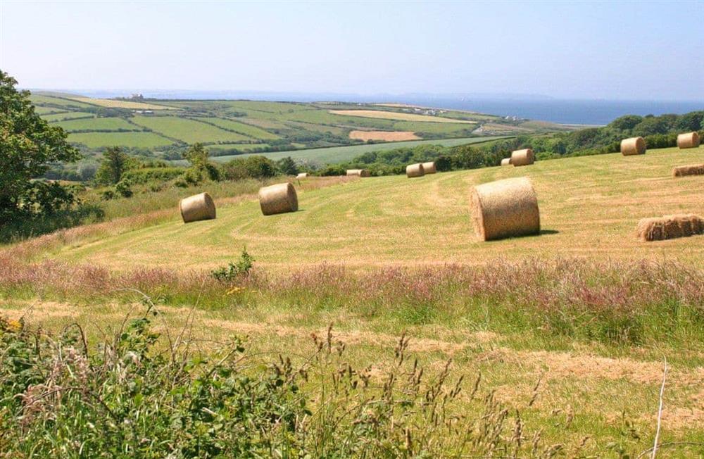The area around Farmhouse near Newgale at Farmhouse near Newgale in Near Newgale, Pembrokeshire, Dyfed