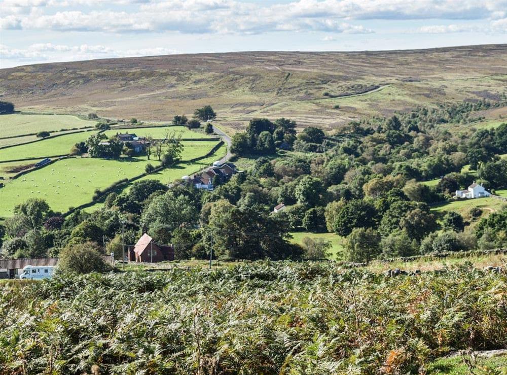 Surrounding area at Farndale Apartment in Commondale, near Whitby, North Yorkshire