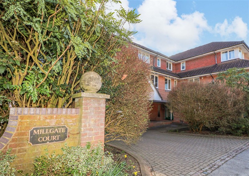 Enjoy the garden at Farnham Park Apartment, Farnham