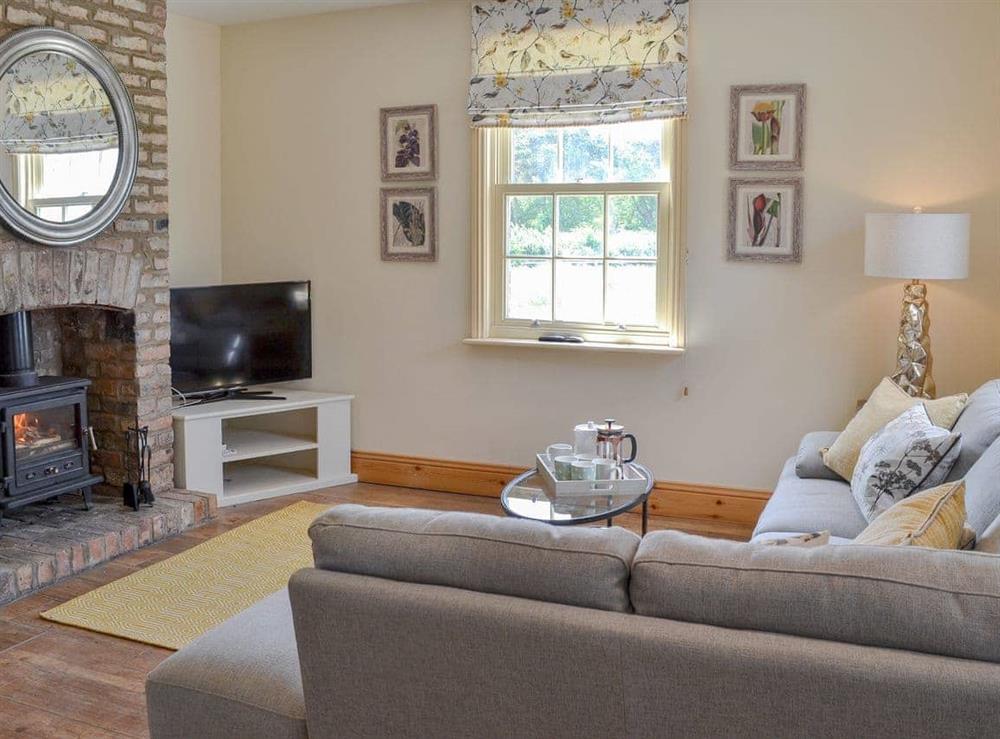 Comfortable living area with cosy wood burner at Farrington House in Nafferton, near Driffield, North Humberside