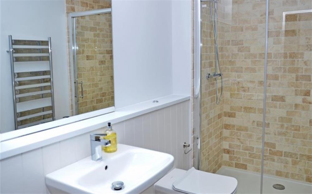 The ground floor shower room at Fastnet in Salcombe