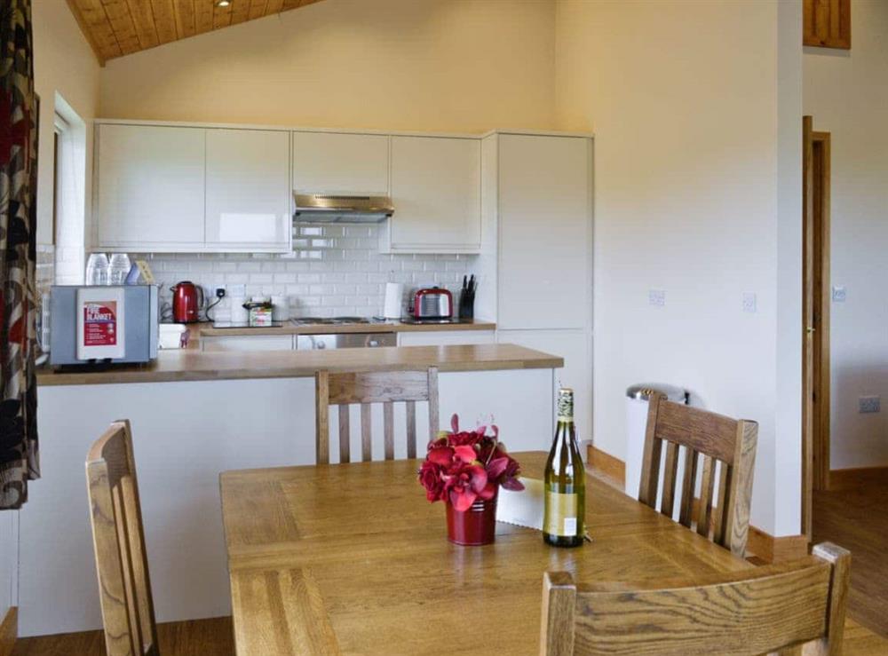 Open plan living/dining room/kitchen (photo 2) at Bulrush Lodge, 