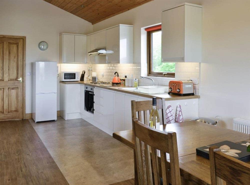 Open plan living/dining room/kitchen (photo 3) at Willow Lodge, 