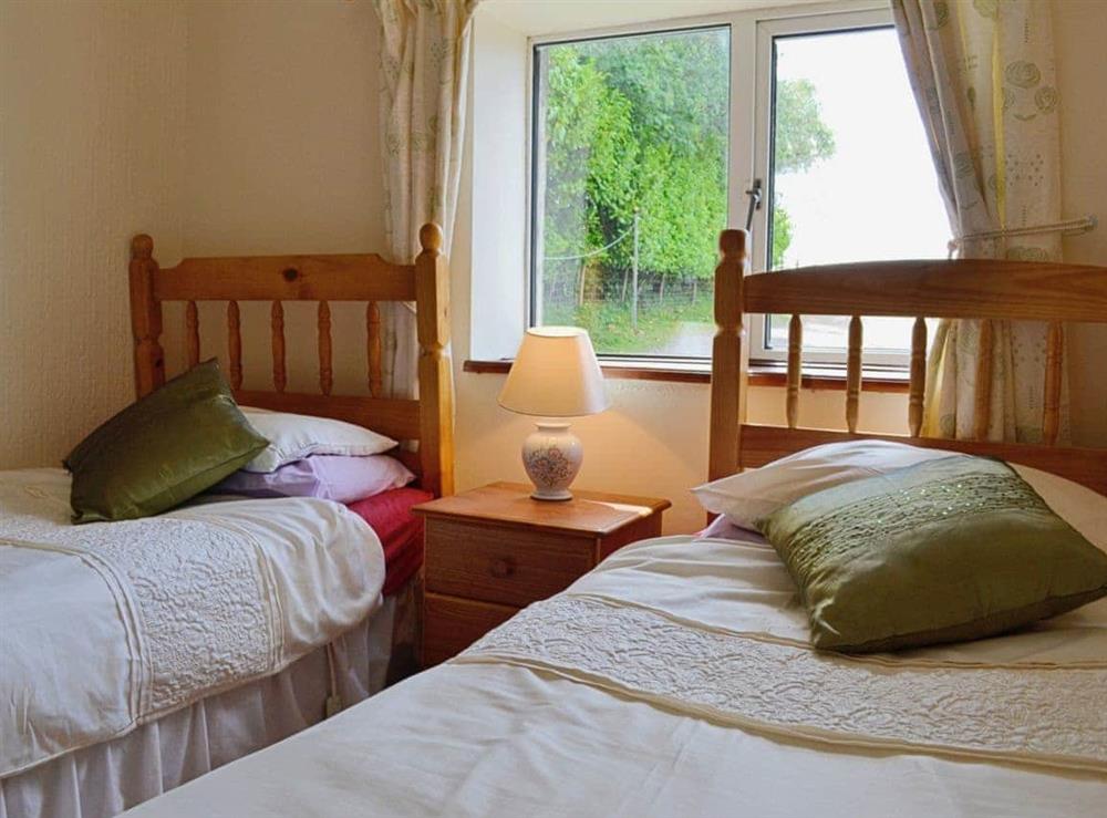 Twin bedroom (photo 2) at Fedwr Gog in Bala, Clwyd