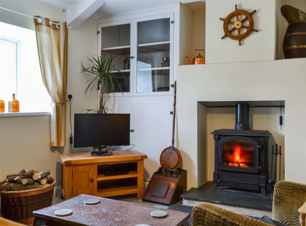 Living room (photo 2) at Felin Cwm Cottage, 