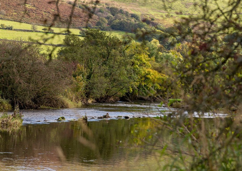 The setting around Felin Gogoyan at Felin Gogoyan, Llanddewi-Brefi