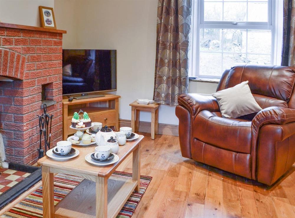 Relaxing living room with open fireplaced home to a cheerful woodburner at Felin Goyan in Tregaron, near Lampeter, Cardigan/Ceredigion, Dyfed