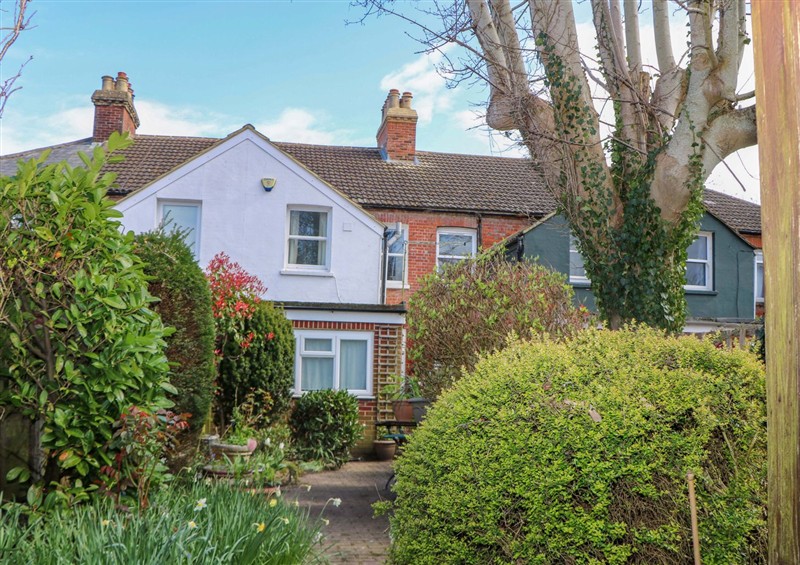 Outside at Felix Cottage, Canterbury