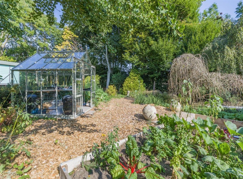 Surrounding area (photo 6) at Fellows Yard in Necton, Norfolk