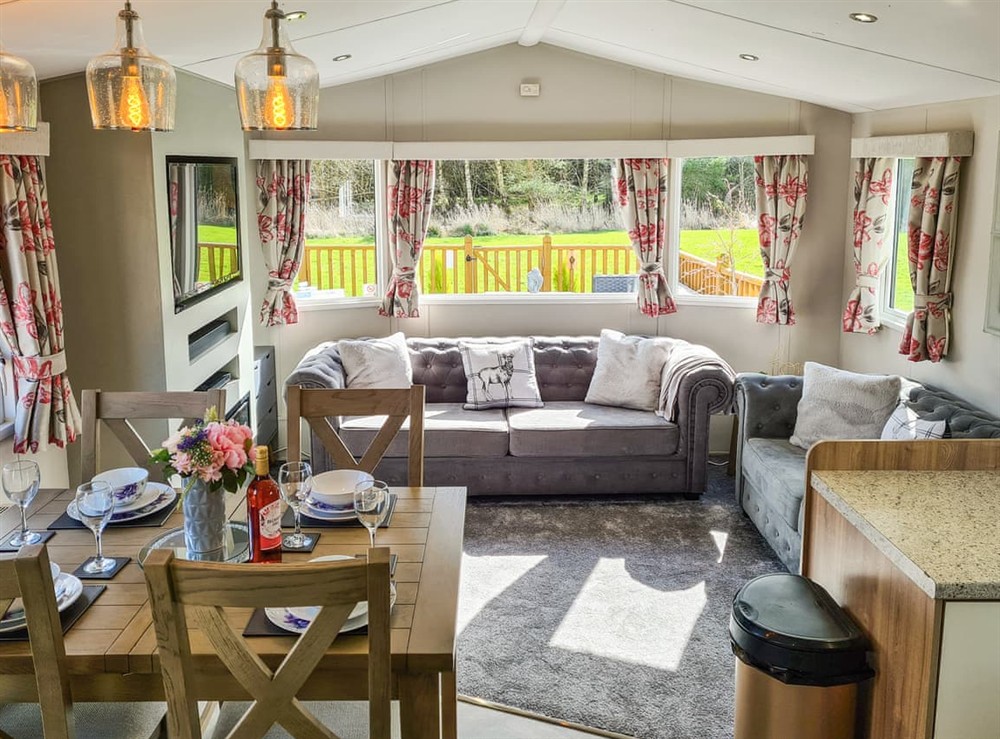 Open plan living space at Hamilton Lodge, 