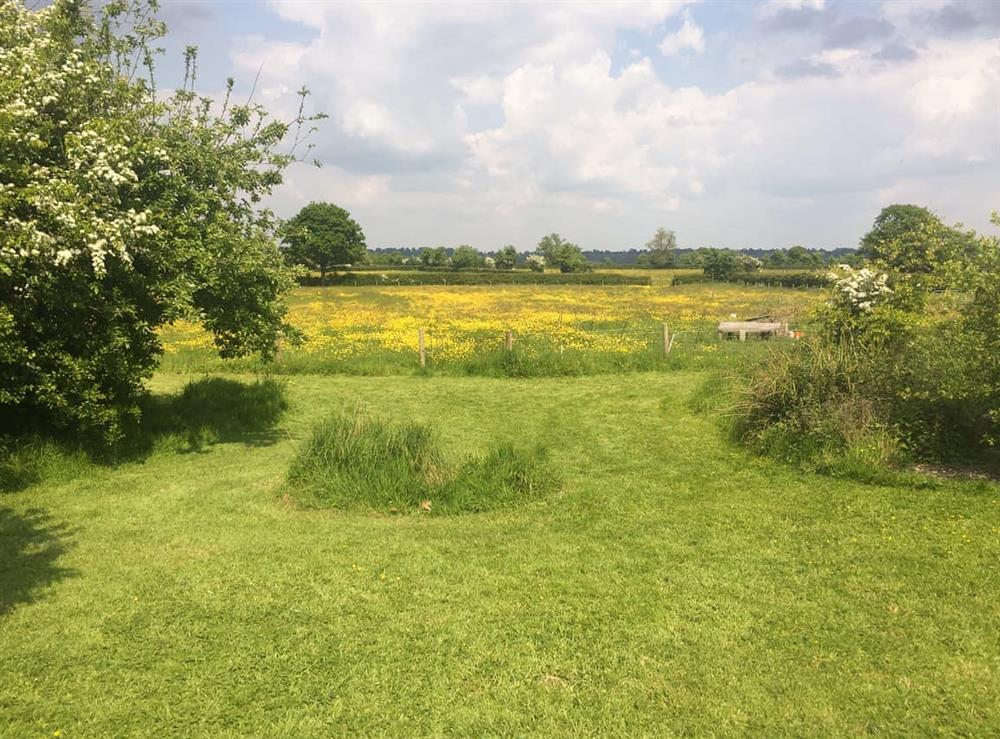 View at Felthams Cottage in Horsington Marsh, near Templecombe, Somerset