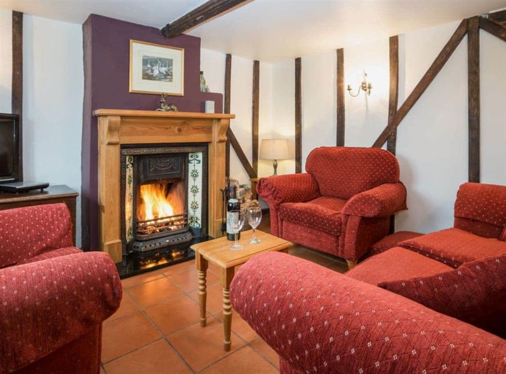 Living room with open fire at Fen Cottage in Little Downham, near Ely, Cambridgeshire