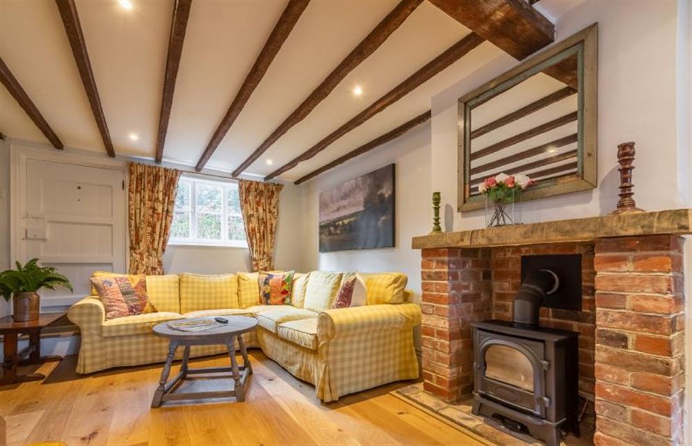 Living space with electric fire at Fenwick Cottage, Higham