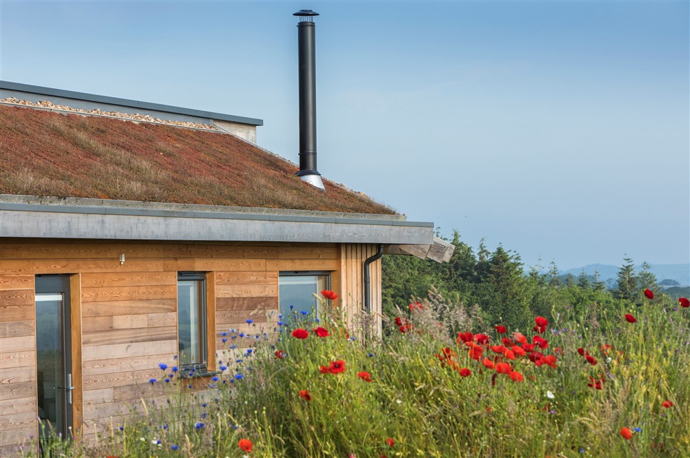 With its lovely wild flower bank at Fern, Ansty, Dorchester