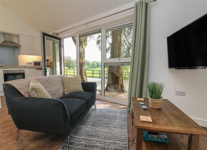 Enjoy the living room at Fern, Bydown near Barnstaple