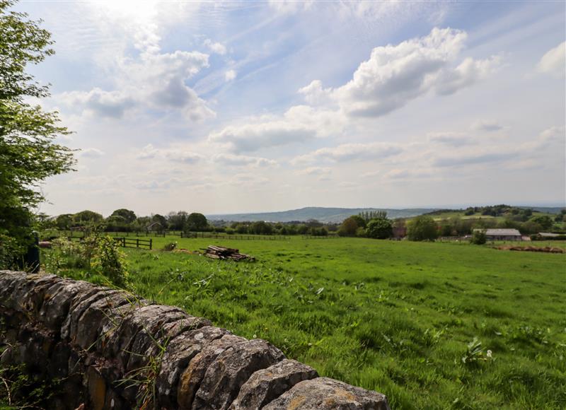 Rural landscape