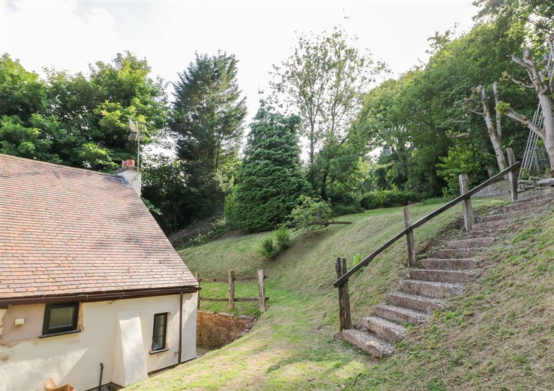 Outside at Fern Cottage, Cofton Hackett