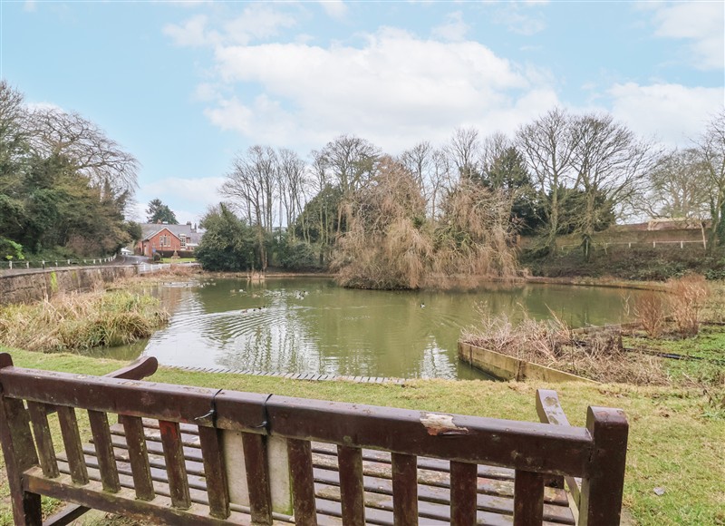 Enjoy the garden at Fern Cottage, North Dalton near Great Driffield