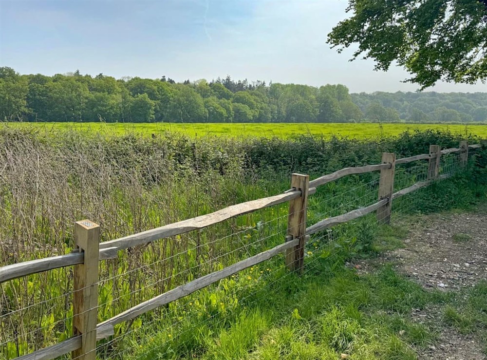 Outdoor (photo 2) at Fernhill Stables in Sevenoaks, Surrey