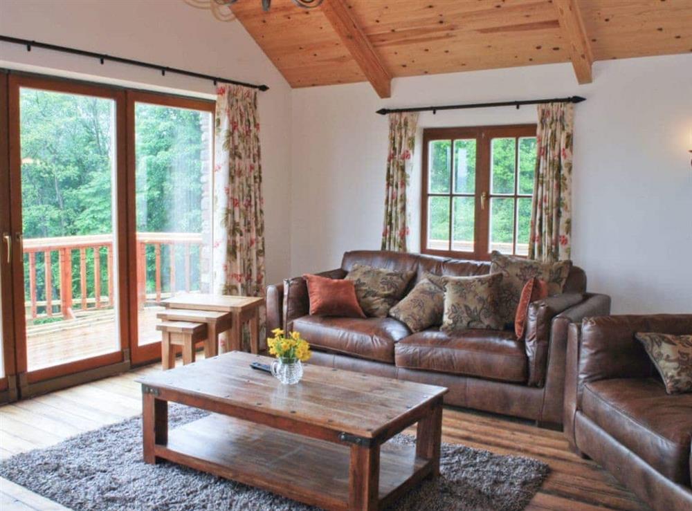 Living room (photo 2) at Ffynnon Meredydd Farm House in Mydroilyn, near Aberaeron, Ceredigion., Dyfed