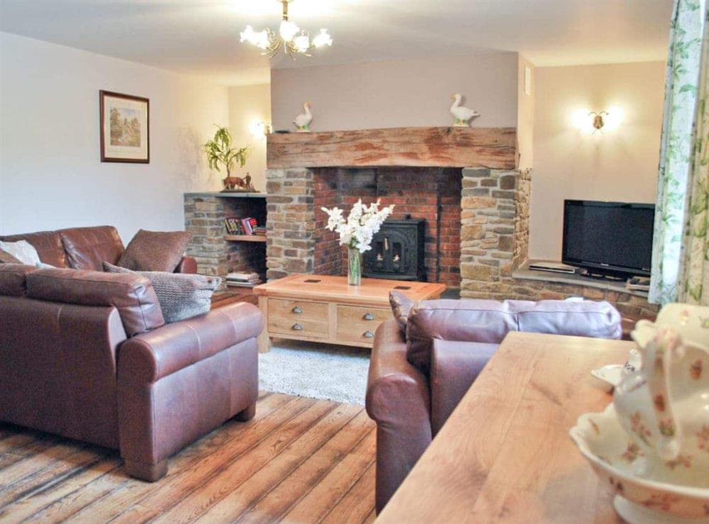Living room (photo 3) at Ffynnon Meredydd Farm House in Mydroilyn, near Aberaeron, Ceredigion., Dyfed