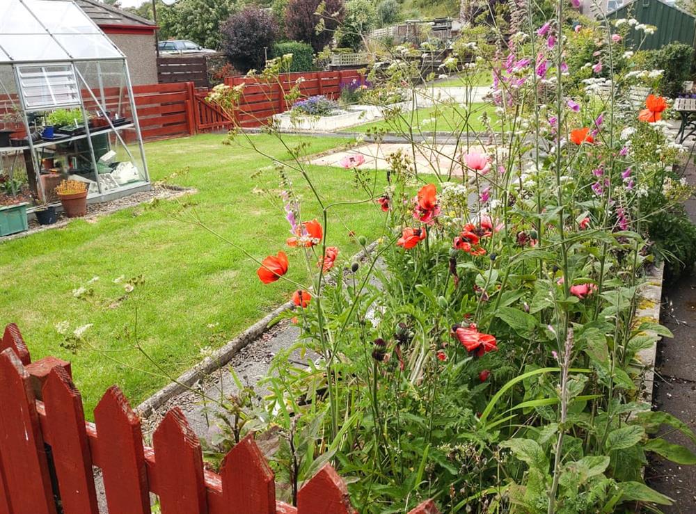 Garden (photo 2) at Fiddlers Rest in Ballantrae, Ayrshire