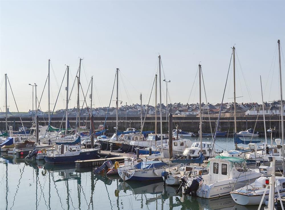 Anstruther’s bustling marina