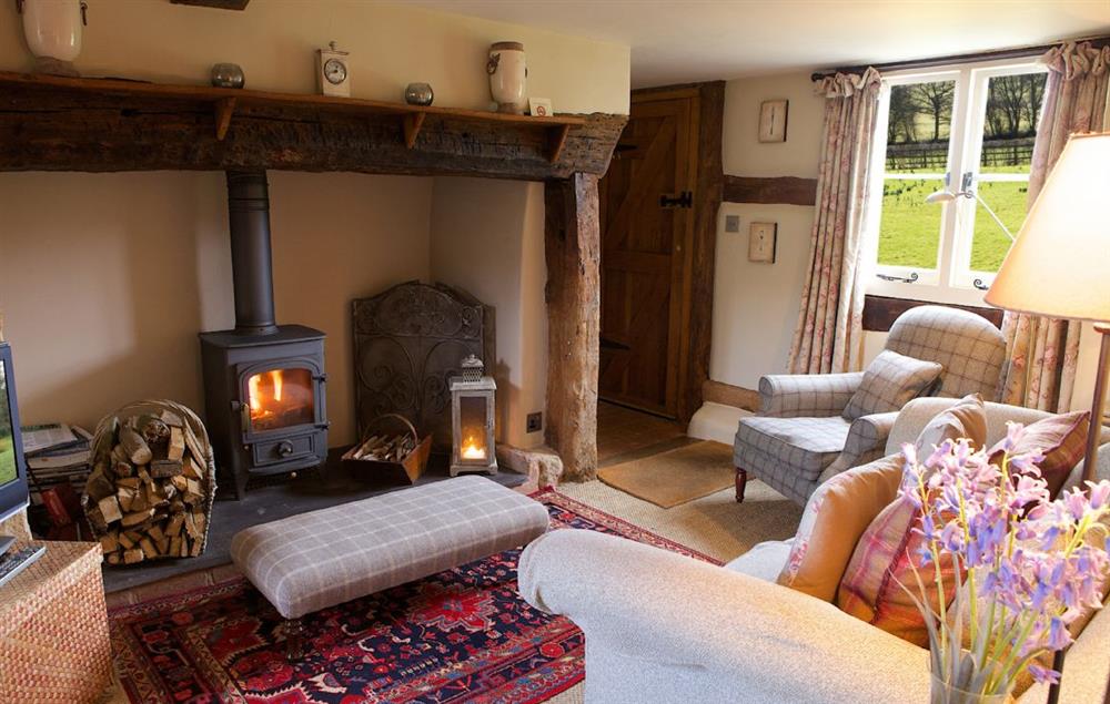 Cosy sitting room with wood burning stove at Field Cottage, Elmley Castle