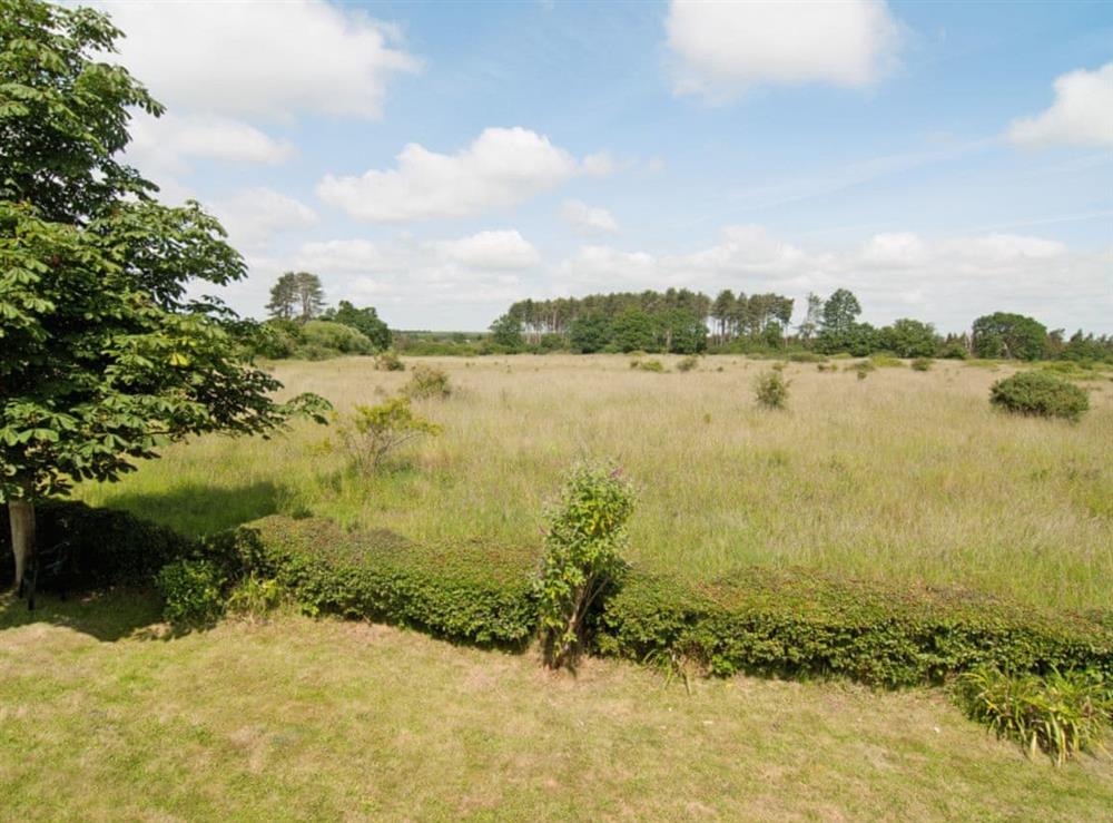 View at Field Cottage in Woodbridge, Suffolk