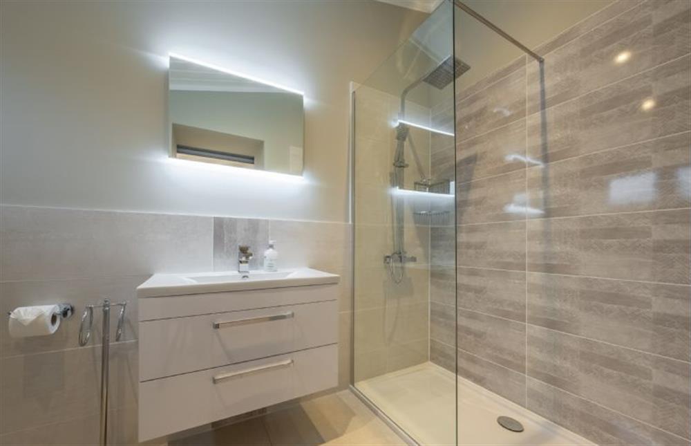 Ground floor: En-suite with shower cubicle