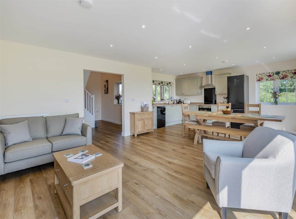 Open plan living space (photo 3) at Field View in South Kyme, near Boston, Lincolnshire