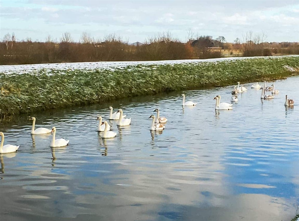 Surrounding area (photo 3) at Field View in South Kyme, near Boston, Lincolnshire
