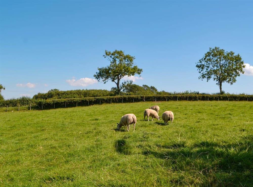 Surrounding area at Fieldside Farmhouse in Dovenby, Cockermouth, Cumbria