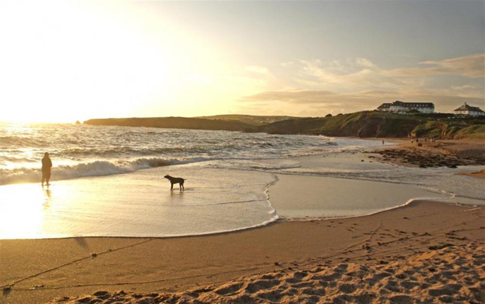 Thurlestone beach is dog friendly all year round at Fiferail in Thurlestone
