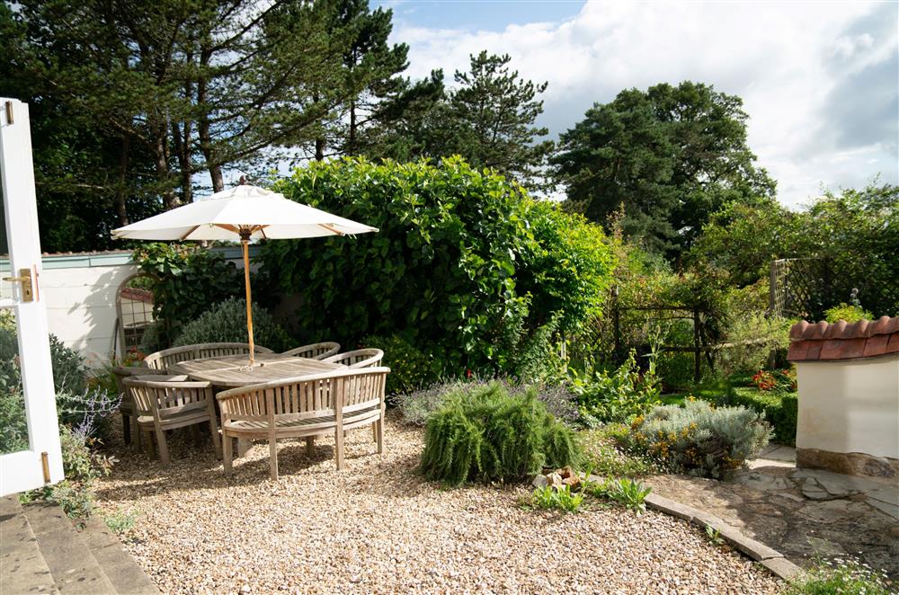 The secluded courtyard, with well established trees and shrubs  at Fig and Bay Cottage, Axminster