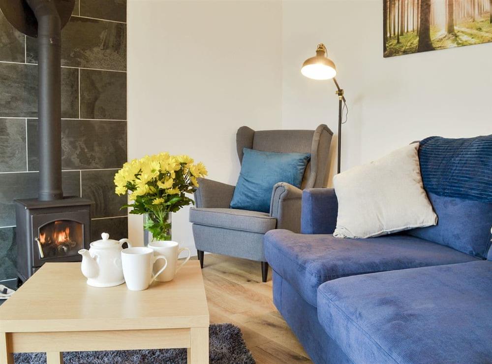 Comfy living area with wood burner at Fig Tree Cottage in Pancrasweek, near Bude, Cornwall