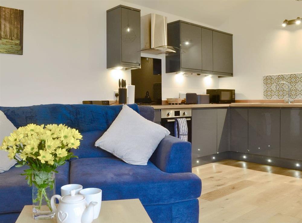 Well presented open plan living space at Fig Tree Cottage in Pancrasweek, near Bude, Cornwall