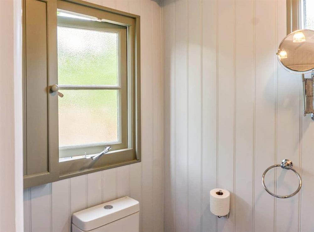 Shower room (photo 2) at Fig Tree Shepherds Hut in Bridport, Dorset