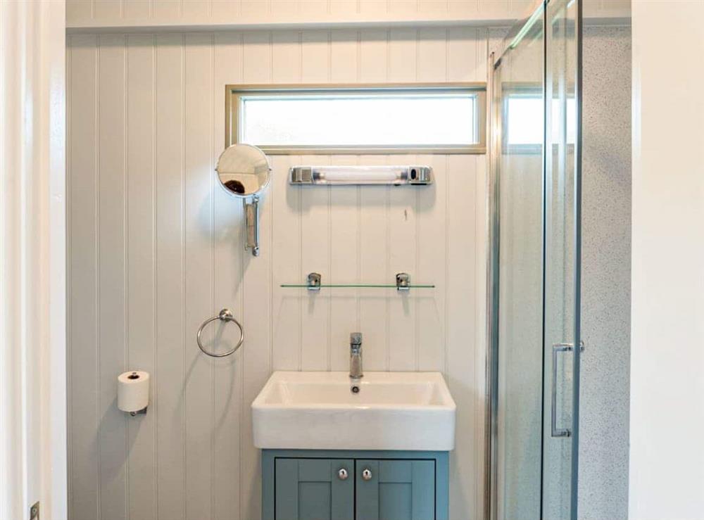 Shower room at Fig Tree Shepherds Hut in Bridport, Dorset