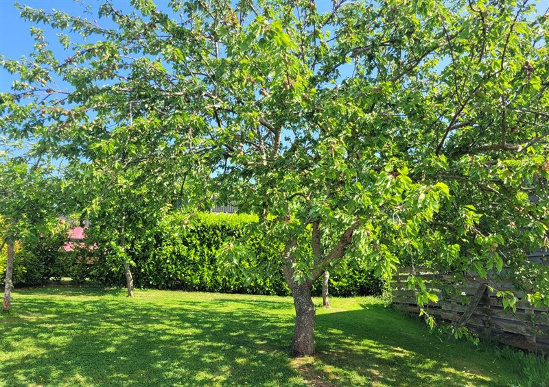 Enjoy the garden at Filly Brook, Bishops Frome